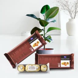 Lush Life: Green Delight with Decadent Treats 1