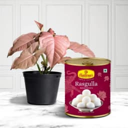 Harmony of Nature and Sweets Gift Set 1