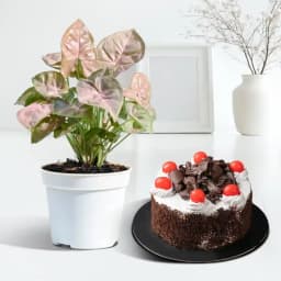 Nature's Charm with Decadent Delight 1