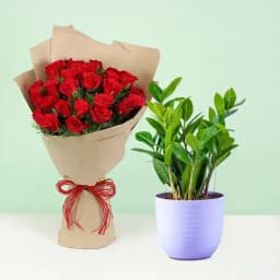 Charming Zamia with Classic Rose Bouquet 1