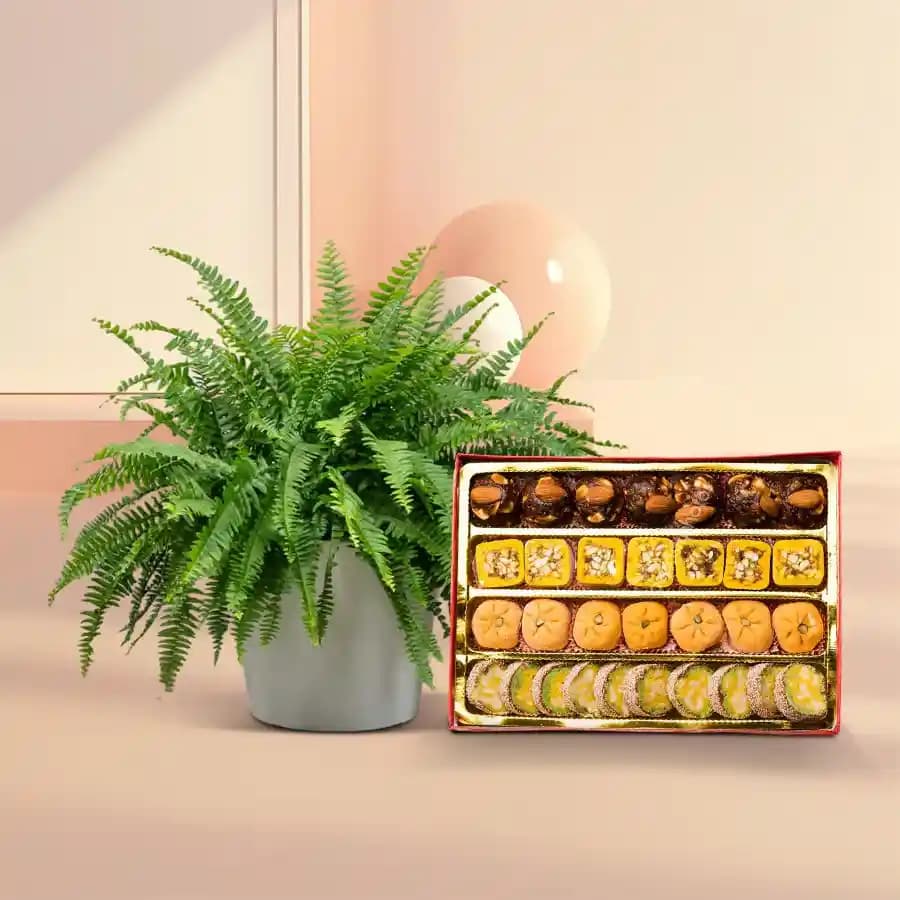 Lush Fern Bliss & Sweet Treats Combo