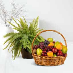Green Oasis: Fern & Fruit Delight 1