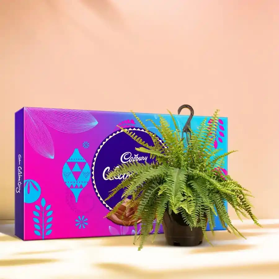 Fern Delight with Chocolate Treats