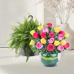 Flourishing Fern and Vibrant Rose Duo 1