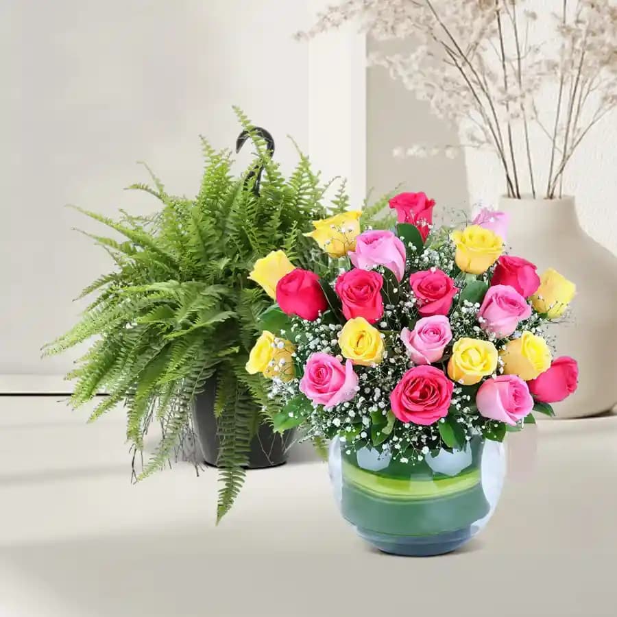 Flourishing Fern and Vibrant Rose Duo