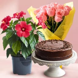 Blissful Blossom and Sweet Treat Collection 1