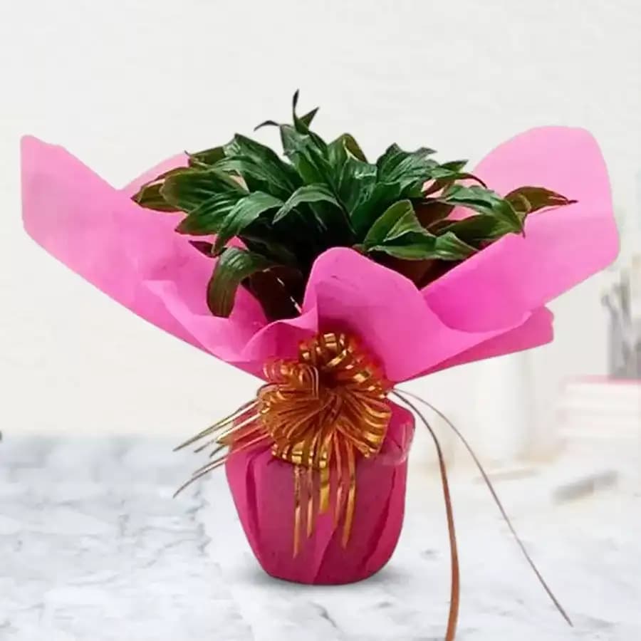 Two-Tiered Bamboo Serenity