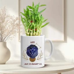 Breathtaking Gift of Lucky Bamboo in Sun sign Mug 1
