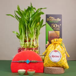 Elegant Bamboo and Chocolate Celebration 1