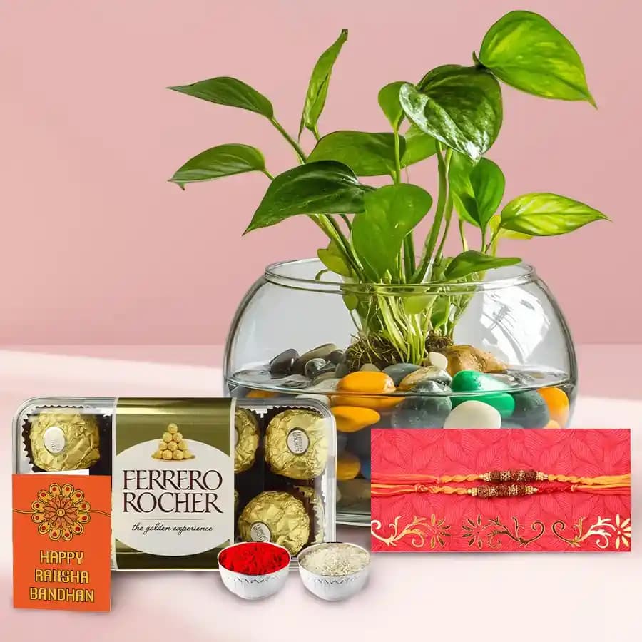 Bhai's Delightful Gift Set