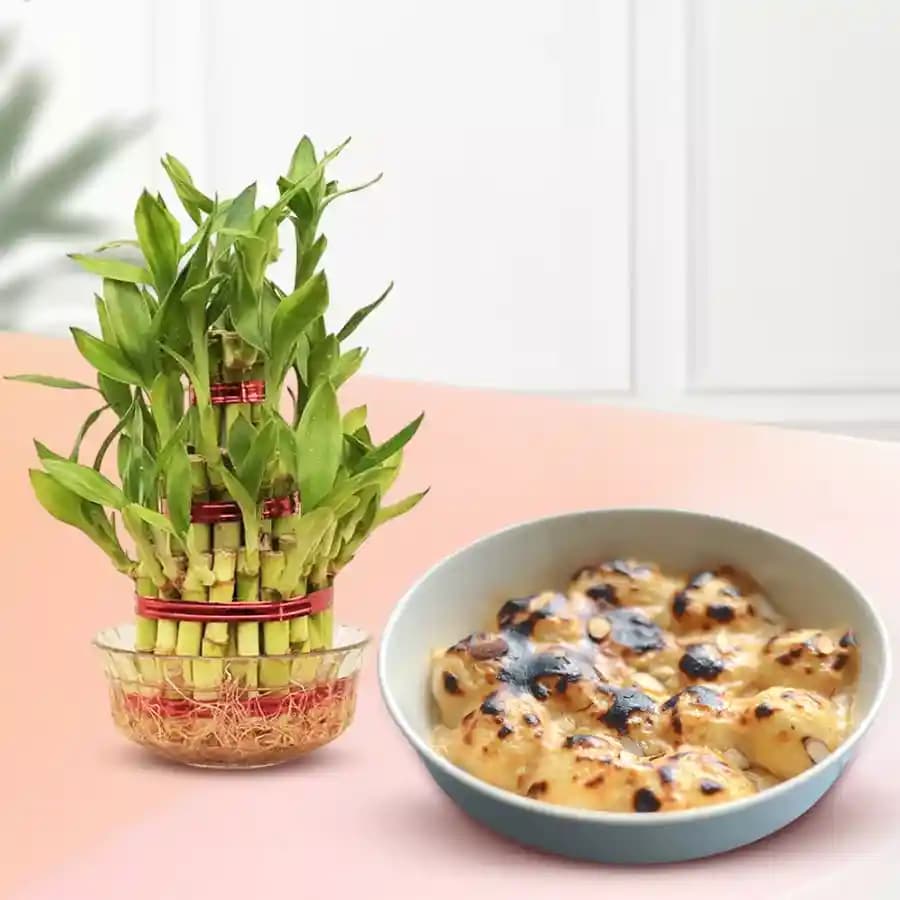 Baked Rasgulla from Balaram Mullick with Lucky Bamboo Plant