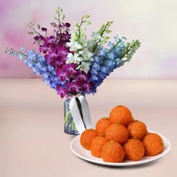 Orchid Elegance N Laddus Treat 1