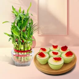 Daab Sandesh from Balaram Mullick with Lucky Bamboo Plant 1