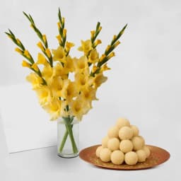 Yellow Gladiolus N Kheer Kadam Bliss 1