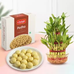 Sakhari Pedha from Chitale Bandhu Mithaiwale with 3 Tier Lucky Bamboo Plant 1