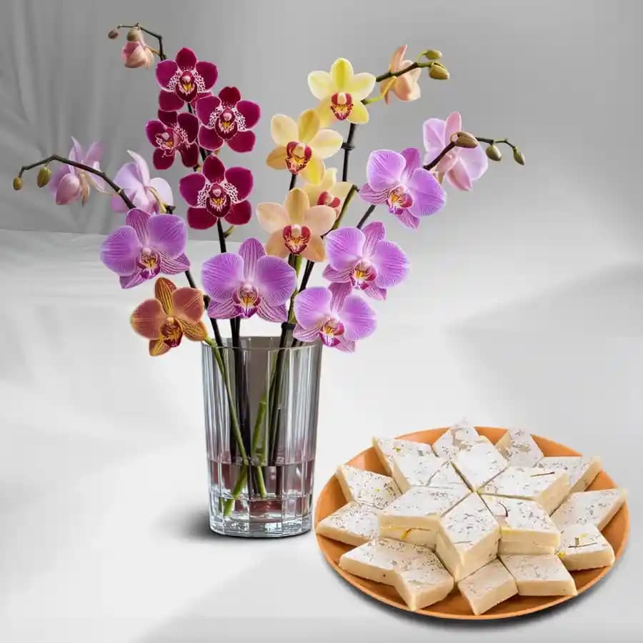 Orchid Elegance with Kaju Katli