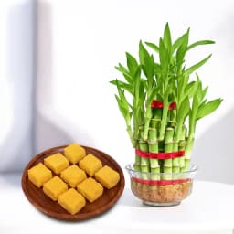 Mango Malai Barfi from Karachi Sweet Mart with 3 Tier Lucky Bamboo Plant 1