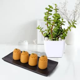 Nolen Gurer Maharani Sandesh from Ganguram with Jade Plant 1