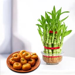 Balushahi from Karachi Sweet Mart with 3 Tier Lucky Bamboo Plant 1