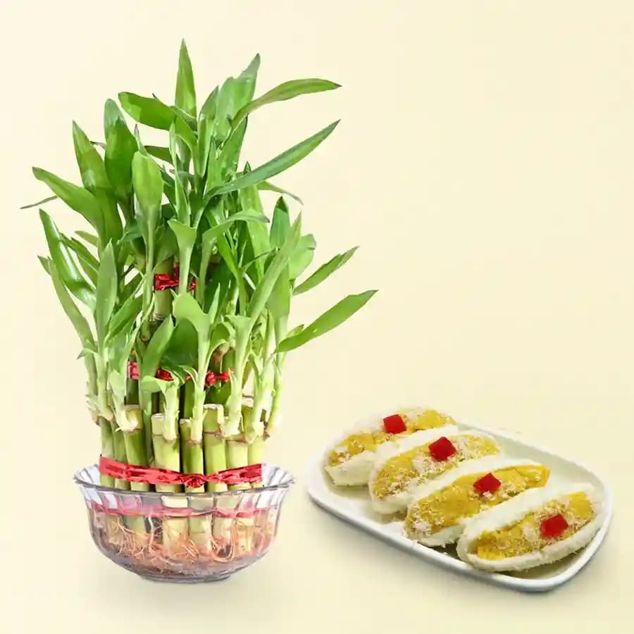 Cham Cham from Karachi Sweet Mart with 3 Tier Lucky Bamboo Plant
