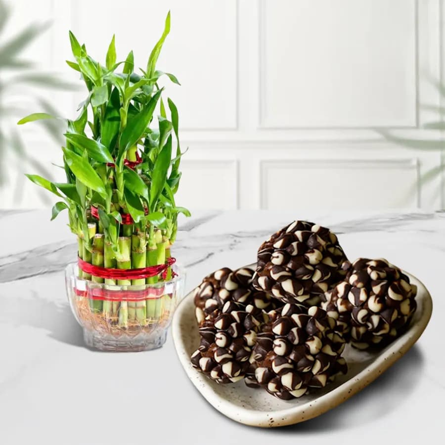 Gourmet Kaju Delight with Serene Bamboo