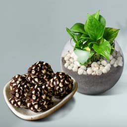 Nuts & Green Serenity Gift Set 1