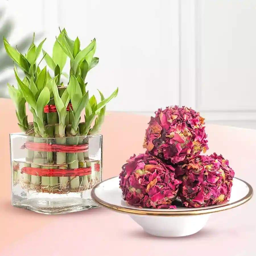 Sweet Serenity: Kaju Laddus & Bamboo Bliss