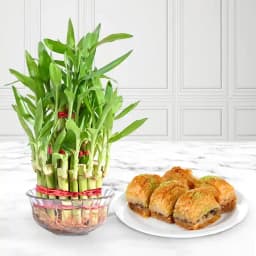 Sweet Harmony: Baklava & Bamboo Bliss 1