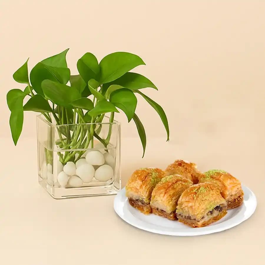 Decadent Delight with a Touch of Nature