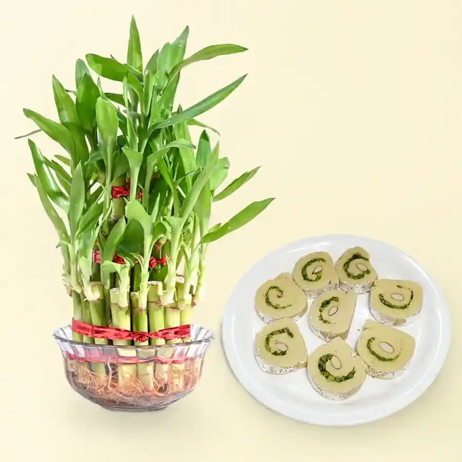 Kaju Cake from Mithas Delicious Sweets with 3 Tier Lucky Bamboo Plant