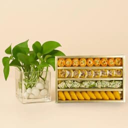 Nutty Elegance with Fortune Plant 1