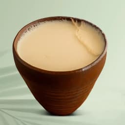 Traditional Misti Doi Delight 1