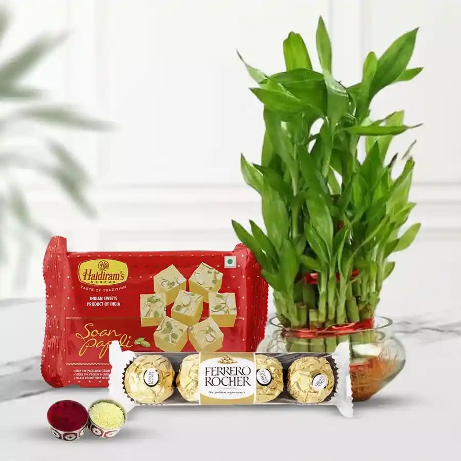 Eco Friendly Assortment Gifts