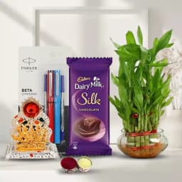 Marvelous "Go Green" Combo Gift for Bhai Dooj 1