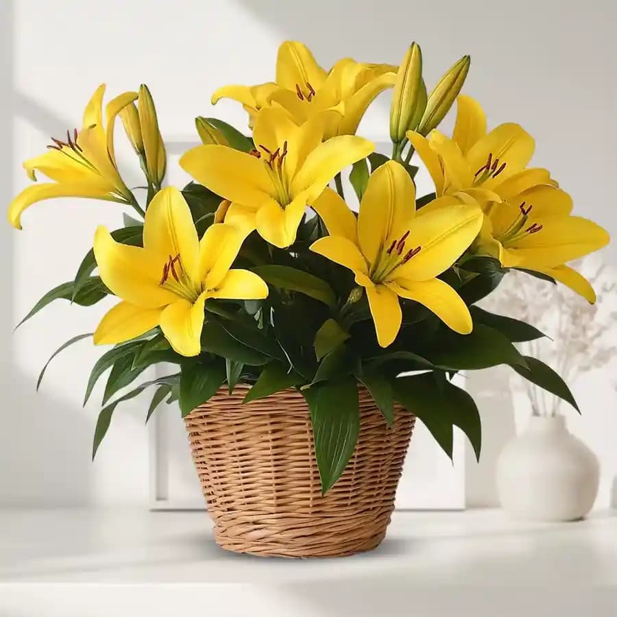 Sunshine Elegance Bouquet