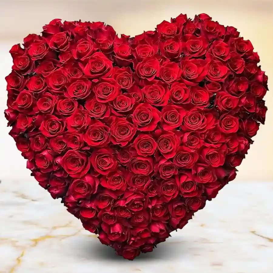 Majestic arrangement of 150 Dutch Red Roses in heart shape
