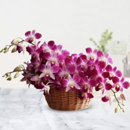 Charming Arrangement of Radiant Orchids 1