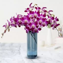 Pretty Orchids in Vase 1