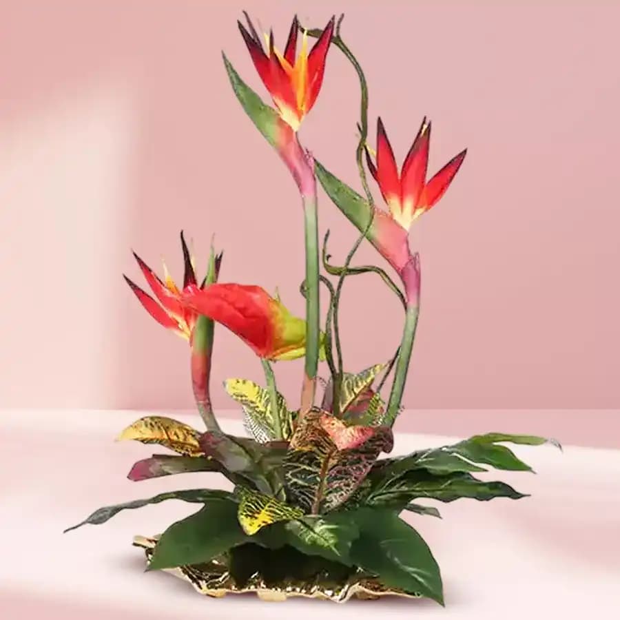 Wonderful Birds of Paradise and Anthuriums Arrangement