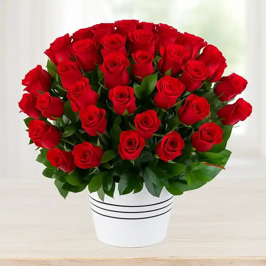 100 Exclusive Red Dutch Red Roses Arrangement with Assorted Cadburys Chocolate.