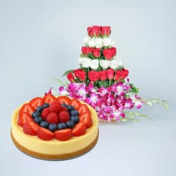 Vibrant Dreamy Cheesecake Delight 1