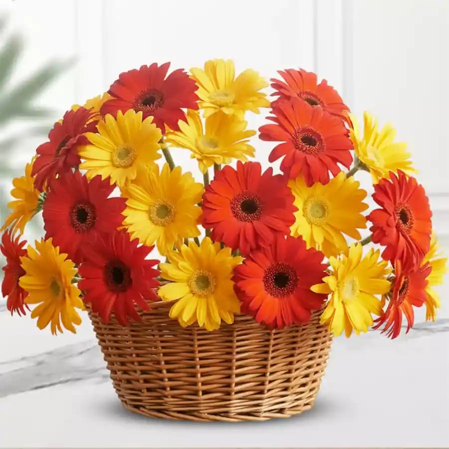Brilliantly colorful gerbera bouquet