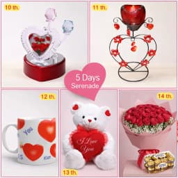 5 Day Cute Serenade 1