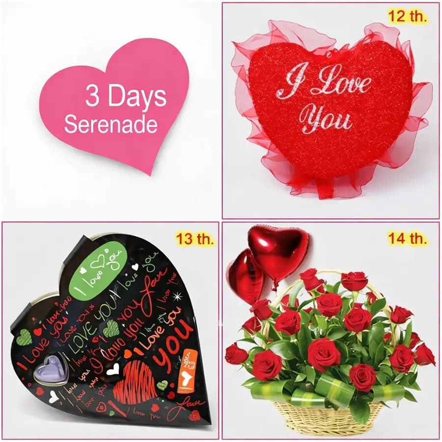 3 Day Serenade for your Sweetheart