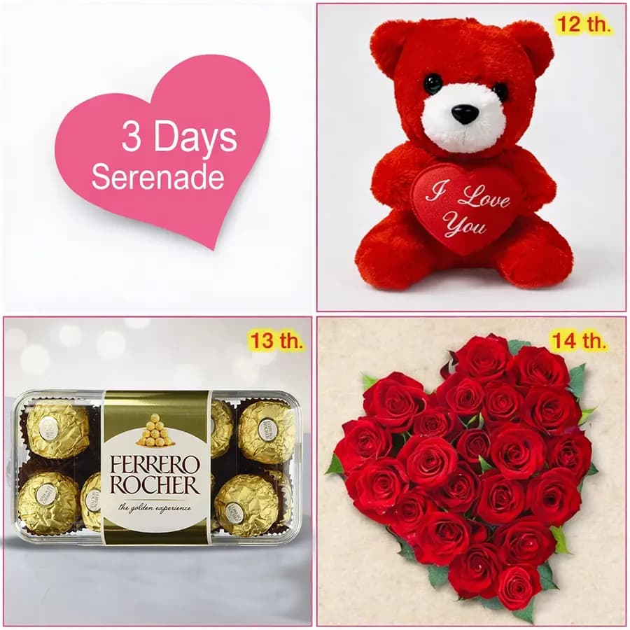 3 Day Serenade for Love of your Life