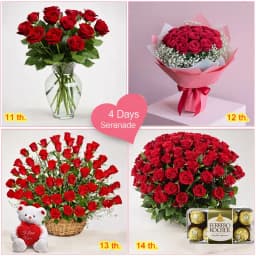 4 Day Big Serenade 1