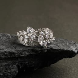 Lustrous Crest Silver Band 1