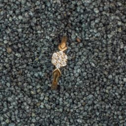 Petal Embrace Ring 1