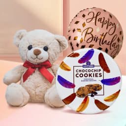 Delightful Chocochip Cookies N Assortments Combo 1