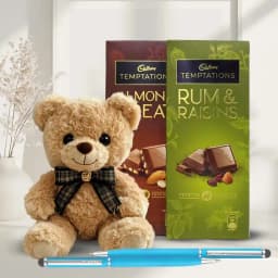 Amusing Cadbury Temptations N Teddy Combo 1